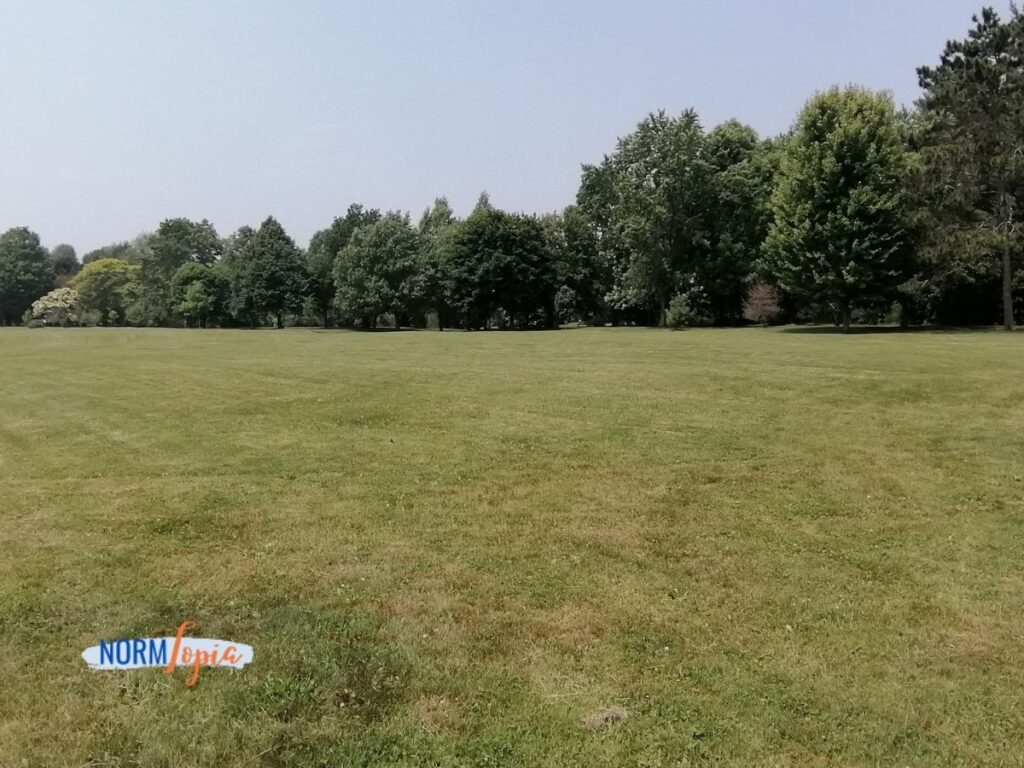 Wide Open Field for Playing Ball